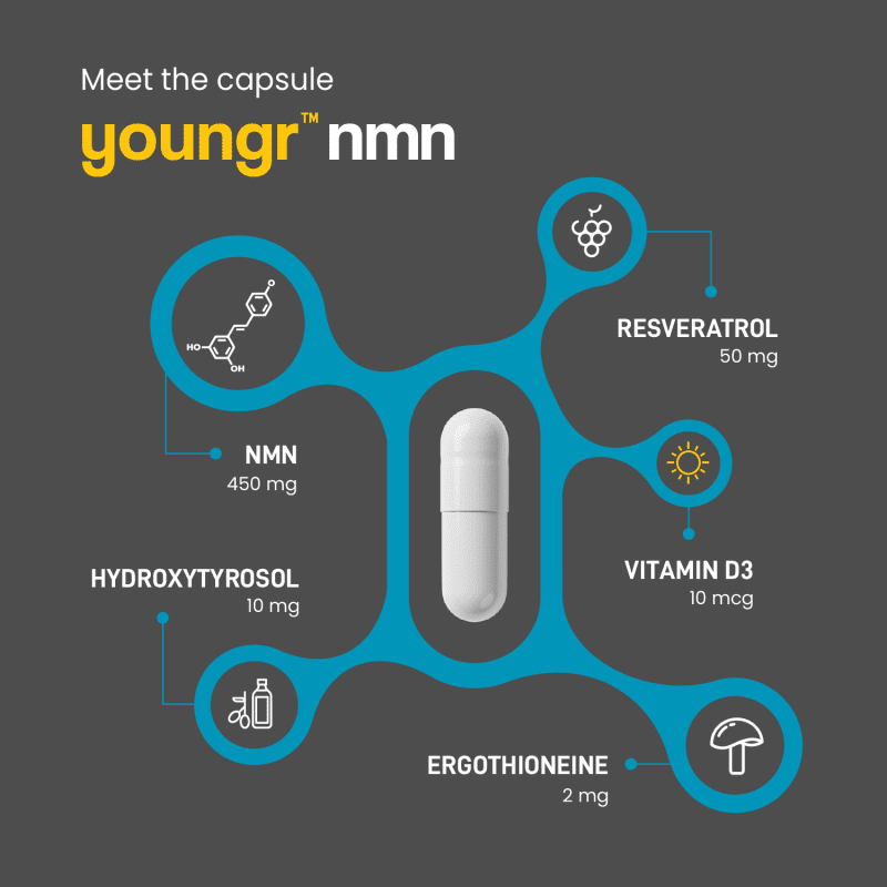 4 Youngr Ingredients Graphic